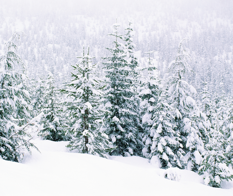 …And The Snow Always&nbsp;Melts