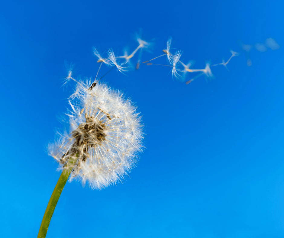 Poof… Anxiety is&nbsp;Gone!