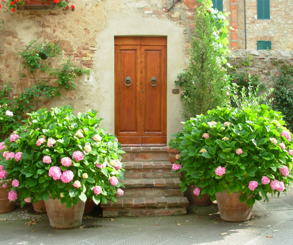 God Does Not Close Doors By&nbsp;Accident